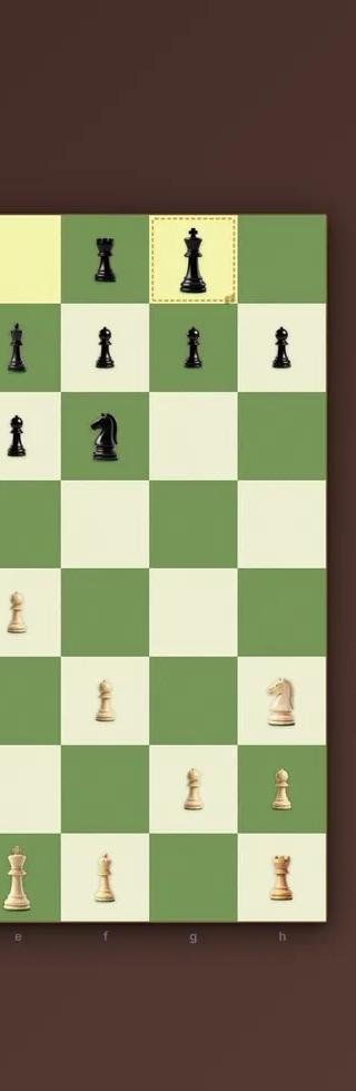 Chess Kingdom