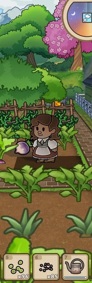 Echoes of the Plum Grove