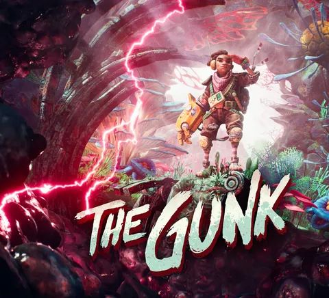 The Gunk