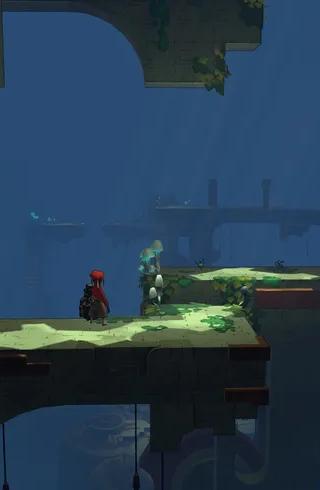 Hob