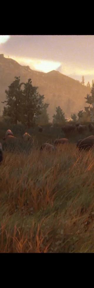 Hunting Simulator 3 - Apex Predator Pack