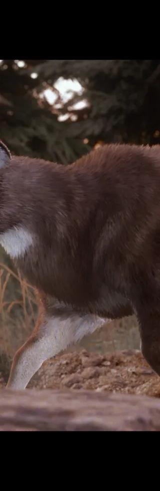 Hunting Simulator 3 - Apex Predator Pack