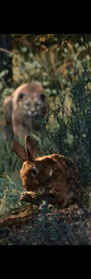 Hunting Simulator 3 - Apex Predator Pack