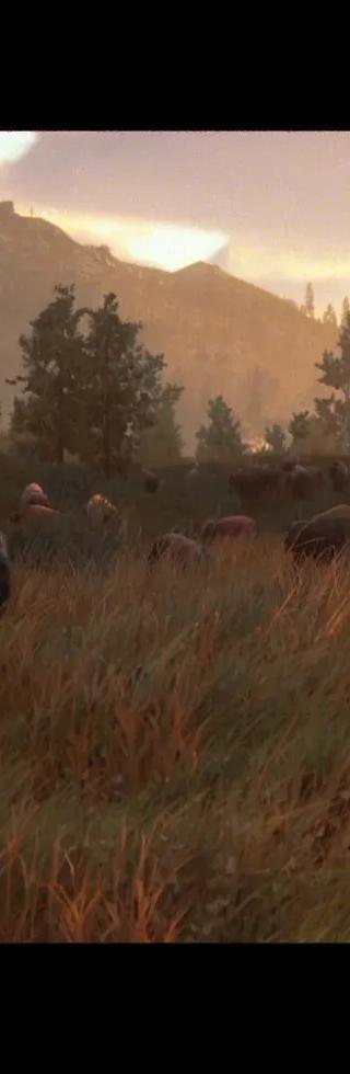 Hunting Simulator 3