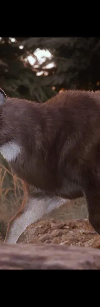 Hunting Simulator 3