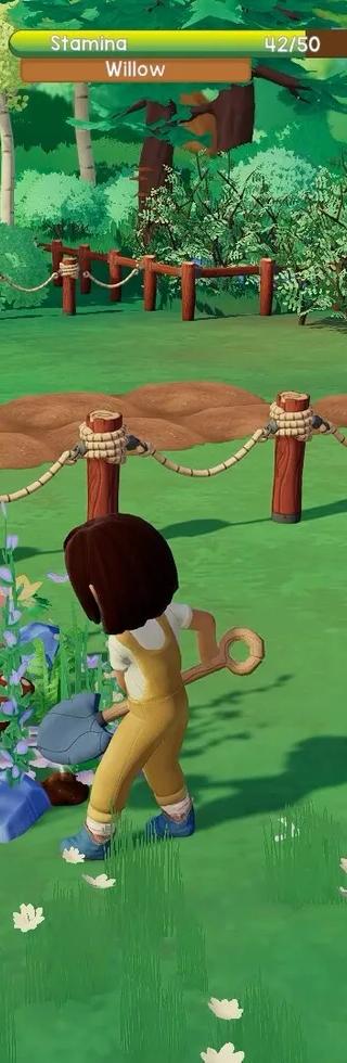 Paleo Pines