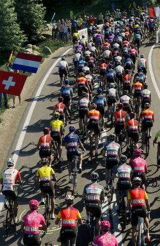 Pro Cycling Manager 2025