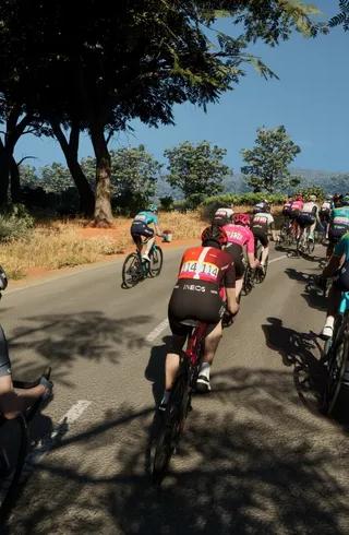 Pro Cycling Manager 2025