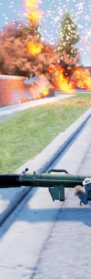 Squirrel with a Gun