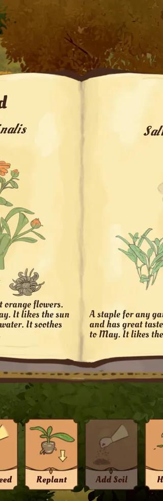The Abbess Garden