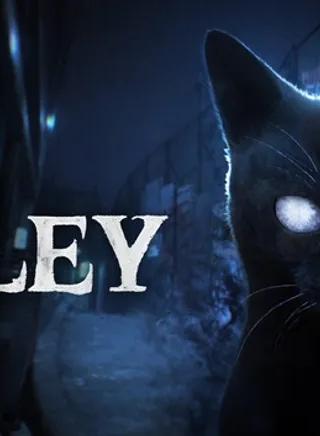 The Alley