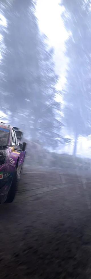 WRC Generations - Porsche 911 GT3 RS RGT Extra liveries