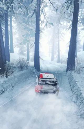 WRC Generations - The FIA WRC Official Game